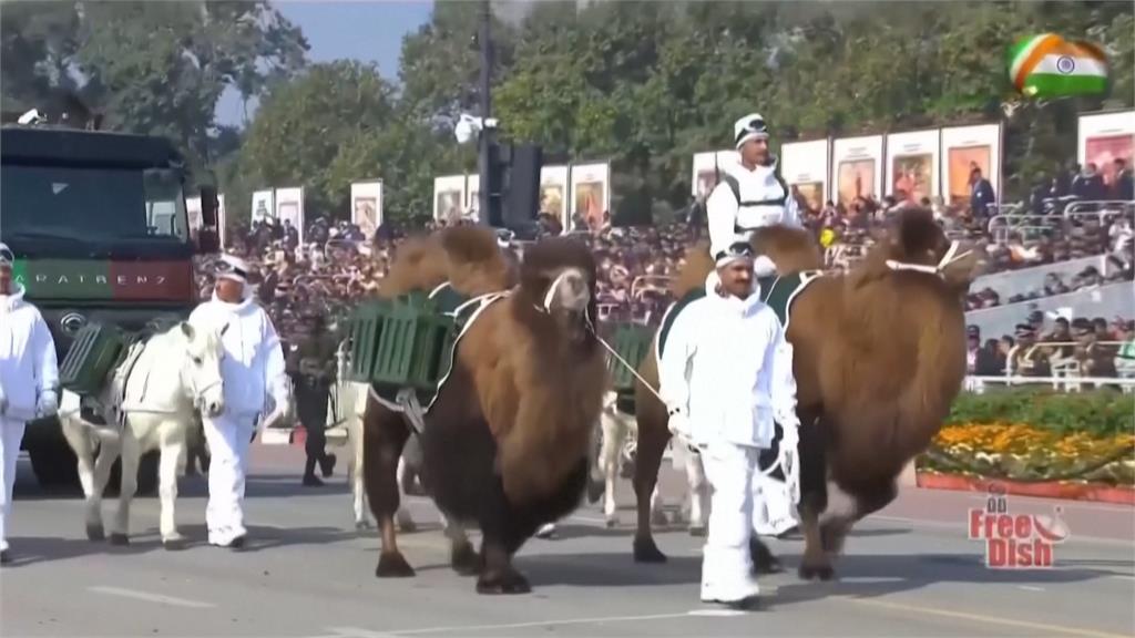 印度共和日閱兵大典　女性士兵機車疊羅漢、動物方陣吸睛