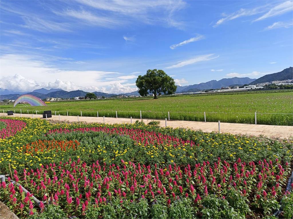 2025新社花海暨臺中國際花毯節-花開三盛事: 花海、花毯、中農展售會盛大開幕