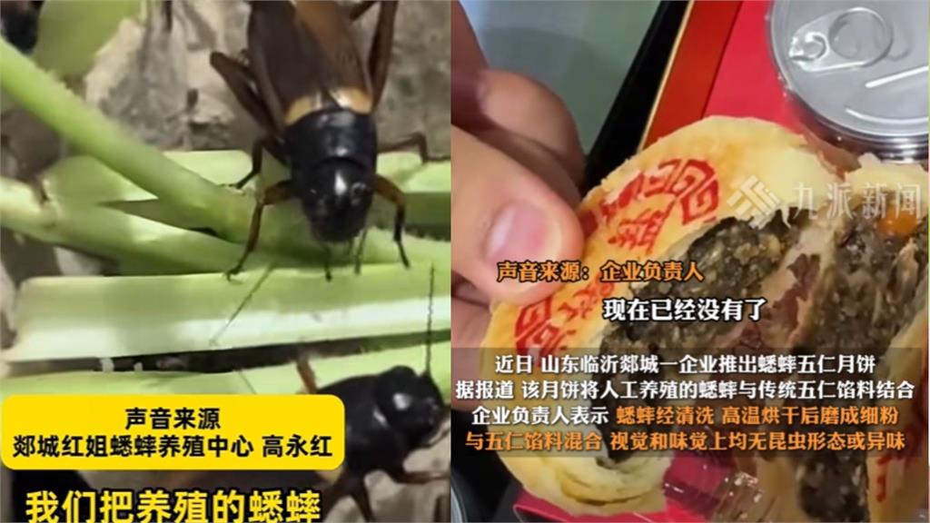 中國狂推奇葩口味「蟋蟀月餅」成黑馬暴紅!試吃者曝「奇妙味道」
