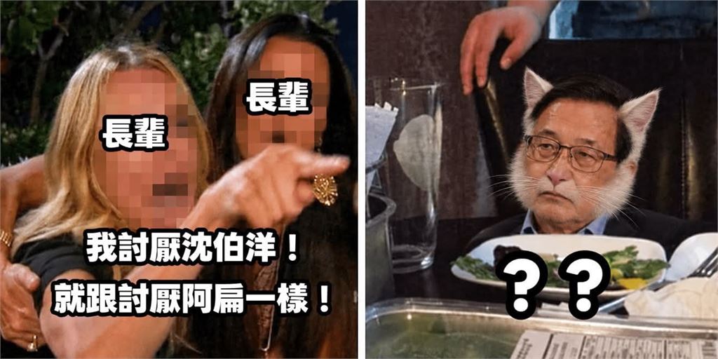 看長輩「討厭沈伯洋如同阿扁」就放心！釣本尊神回「1哏圖」網笑瘋：迷因大帝