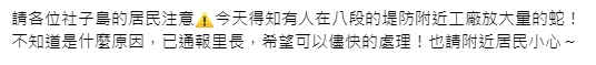 快新聞／社子島驚傳「有人放大量的蛇」！　民眾驚見眼鏡蛇進家裡「作客」