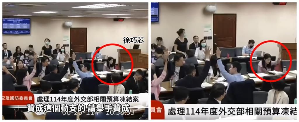 徐巧芯偷站綠邊遭抓包!解凍預算「默默舉手贊同」…王定宇笑喊:民主力量真偉大