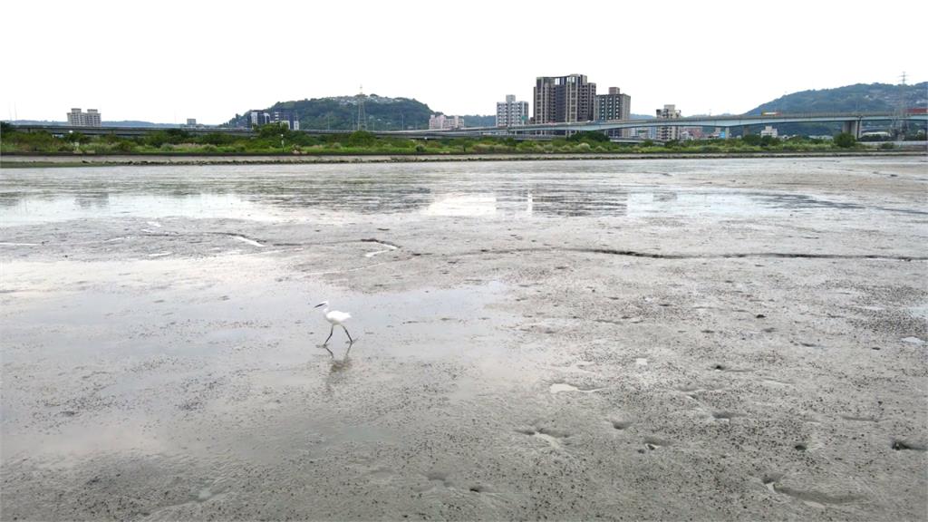 鳥迷樂歪！三重熊猴森樂園可觀賞大批鳥類飛行