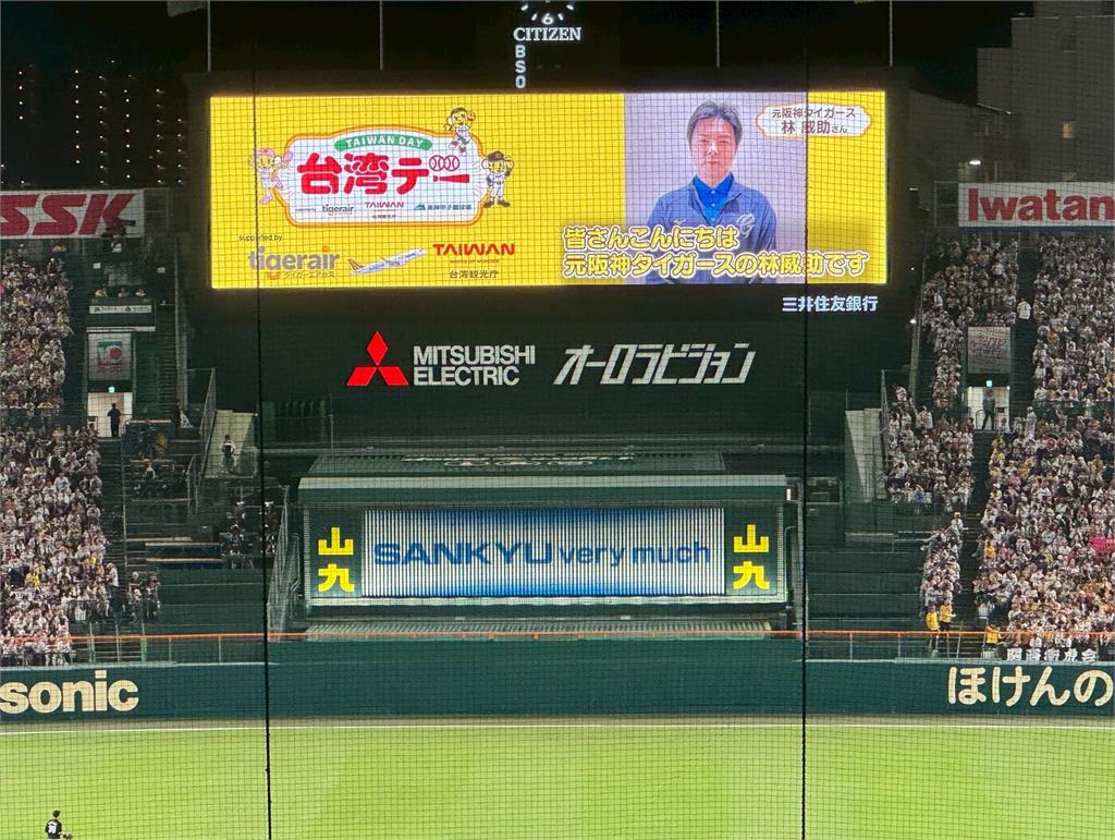甲子園瘋台灣 2025台灣日熱力登場!