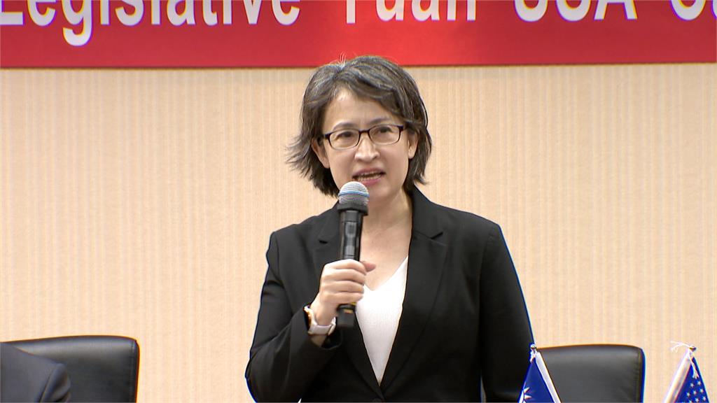 蕭美琴去年出訪險遇車禍　捷克情報局證實「中國策劃」