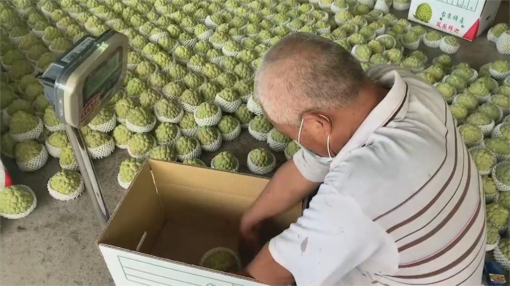 劉櫂豪與小英之友會合作 號召各地分會認購釋迦
