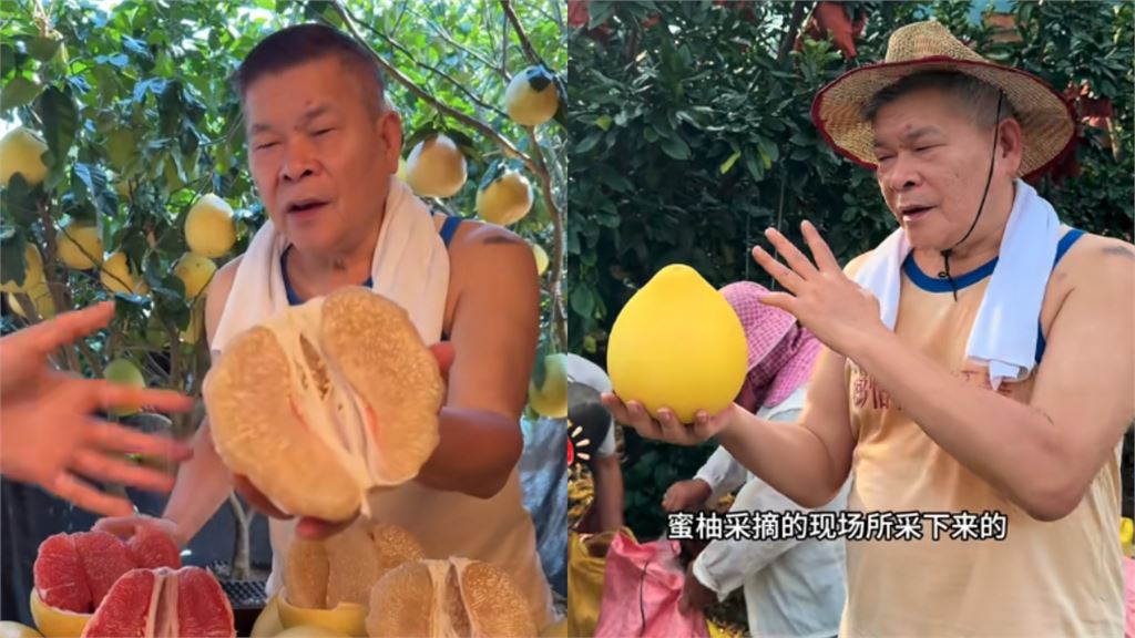 70歲澎恰恰「中國賣柚子」徒弟許效舜也去了！破產背債2.4億近況曝