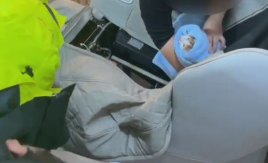 太皮了! 橘貓卡按摩椅"淒厲慘叫" 飼主通知消防隊救援