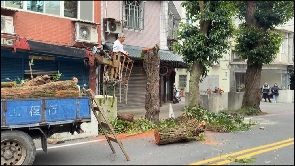土地糾紛「砍行道樹」？ //地主漫天喊價惡搞住戶