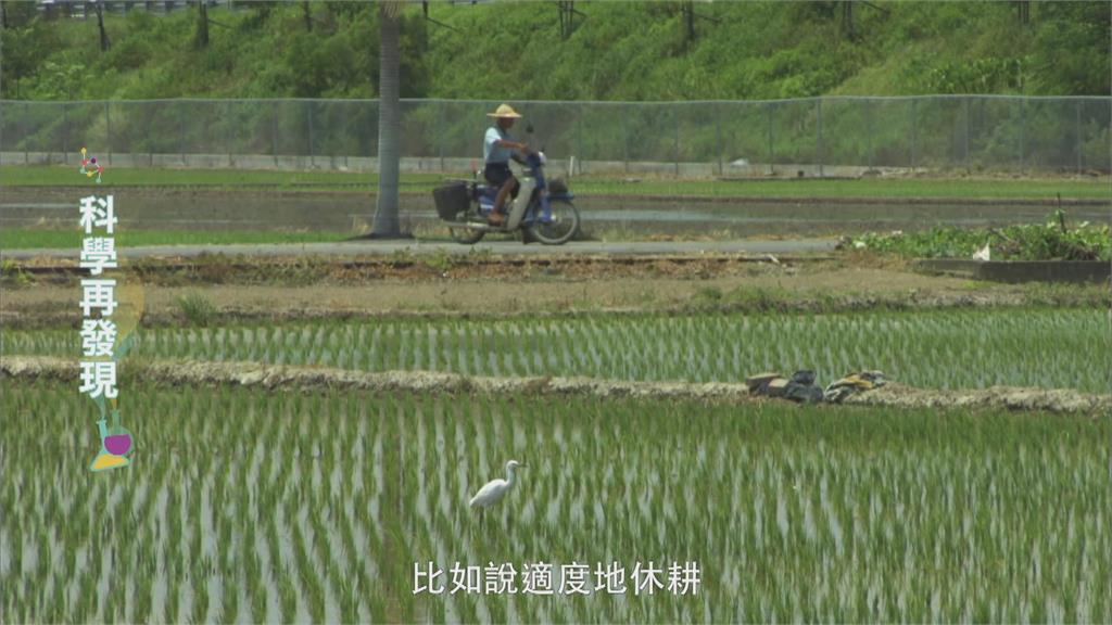 「過度施肥」反而有害作物！　「休耕輪作」可改善土壤