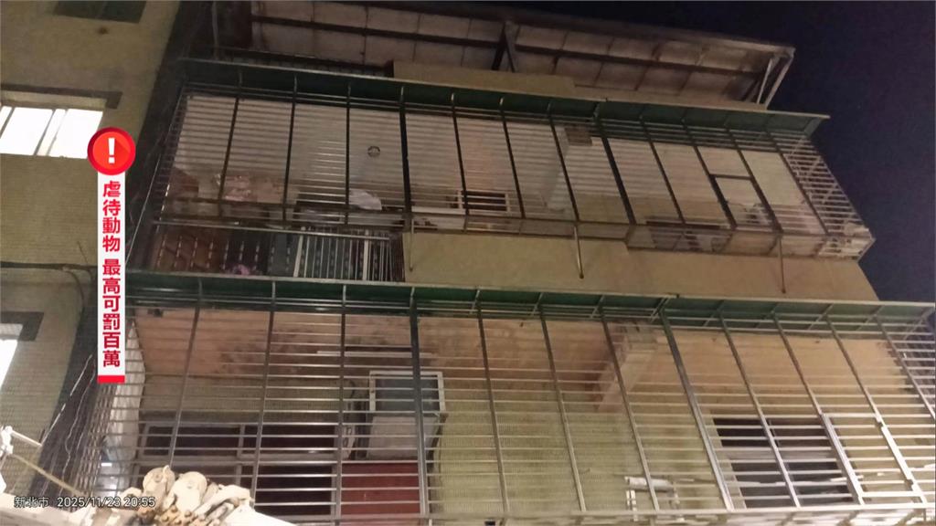 陽台無防護！臘腸犬墜樓恐癱瘓　飼主列黑名單終生不得飼養貓犬