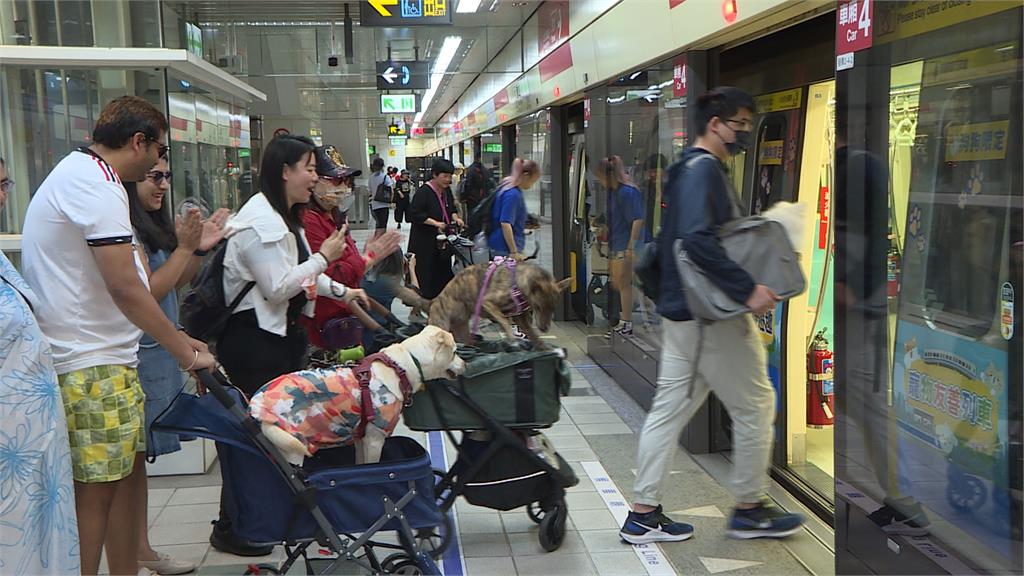台北捷運開放4列車、16班次　「單日限定」開放貓狗趴趴走