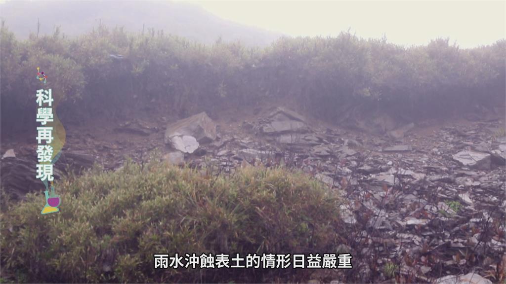 多處湖泊優養化 清潔劑、不當施肥是元凶