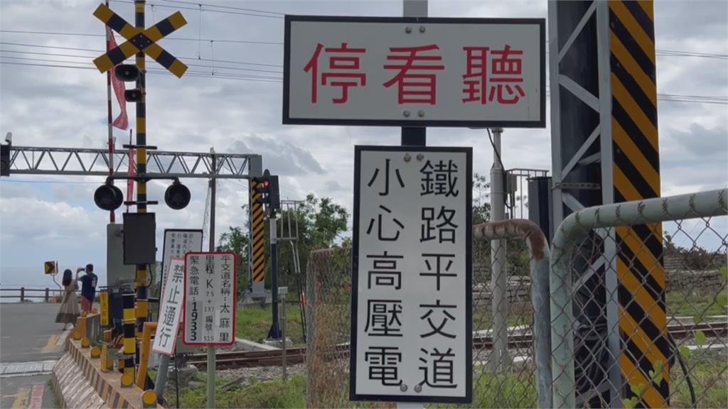 台東「櫻木花道平交道」爆紅 遊客近距拍照險象生