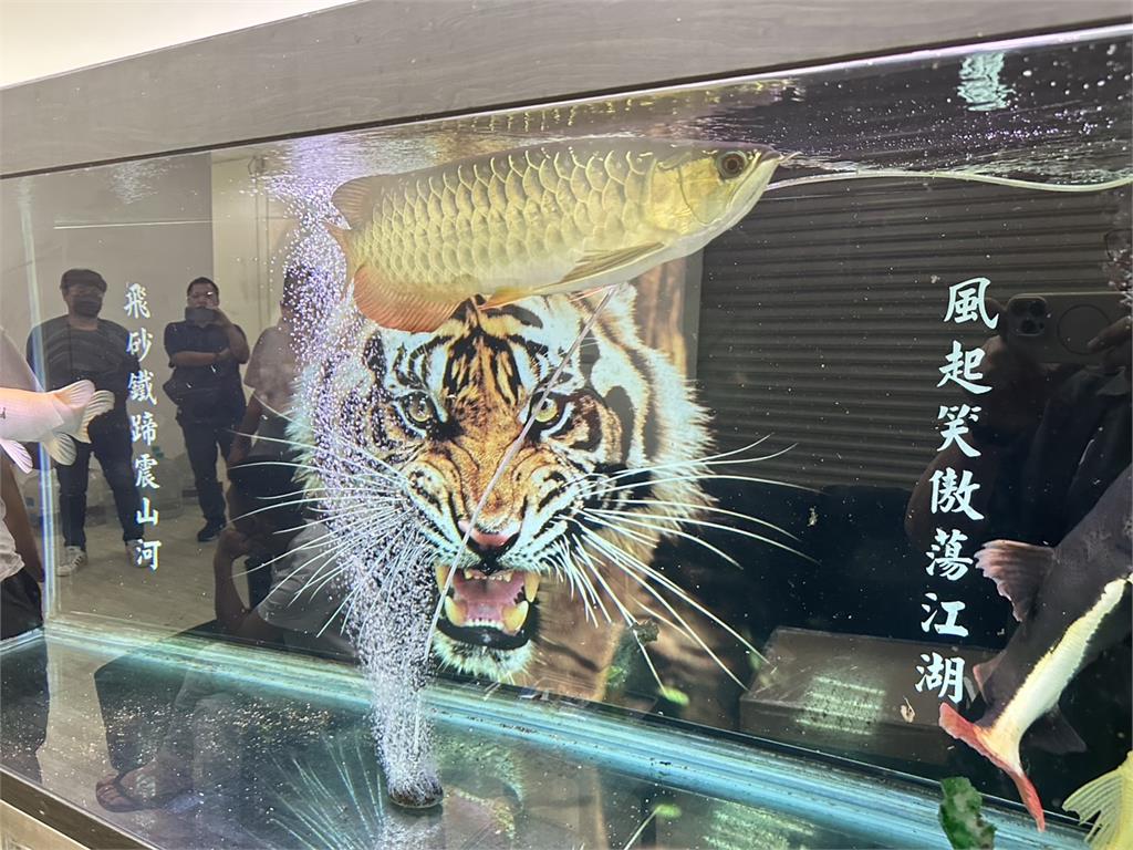 快新聞／跨國詐騙機房曝光！新竹幫派設點柬埔寨　拽炸中國人金額逾10億