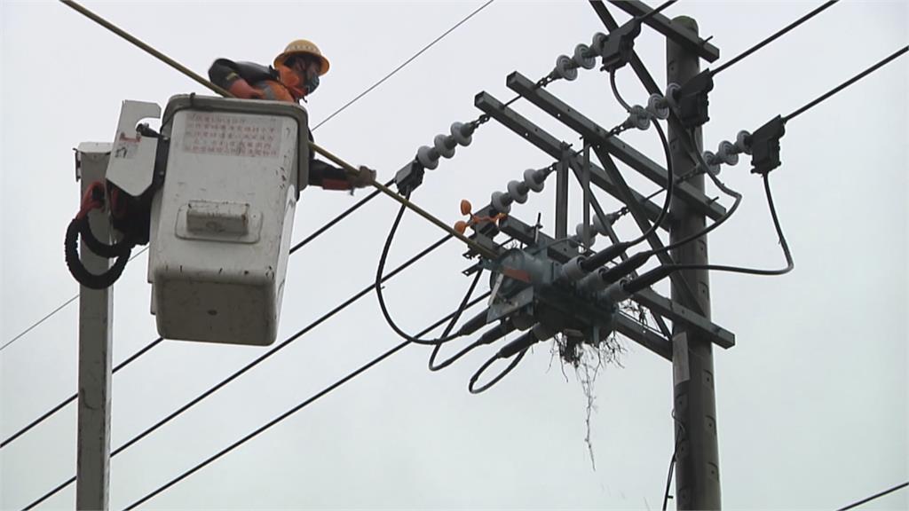 電桿上鳥巢被拆4次 喜鵲夫婦「槓上」台電