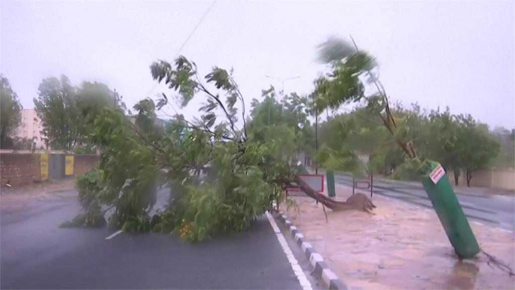 強烈氣旋襲印度、巴基斯　數百棵樹木連根拔起