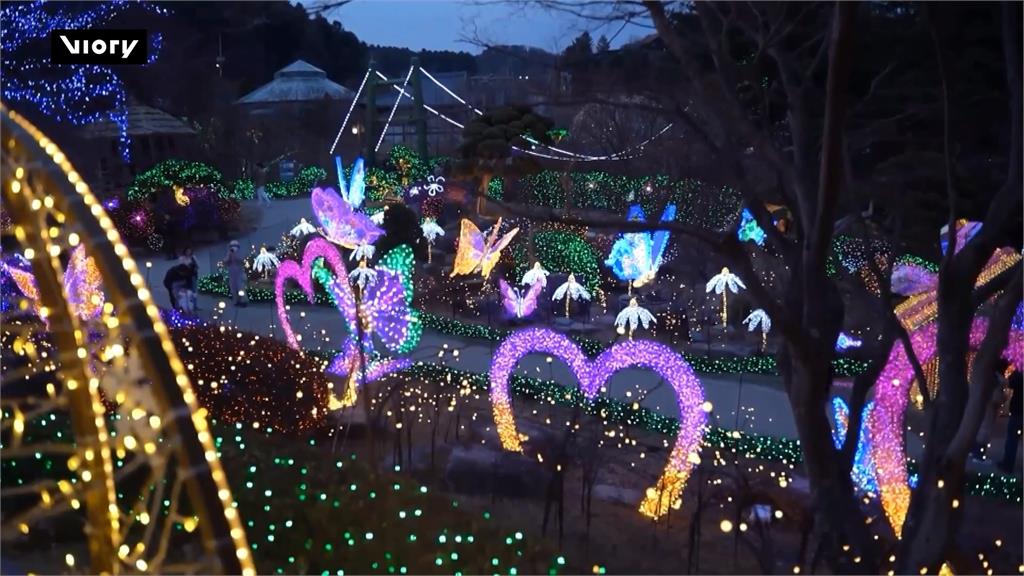 南韓加平「晨靜樹木園」燈光節閉幕 七彩LED燈點綴超夢幻