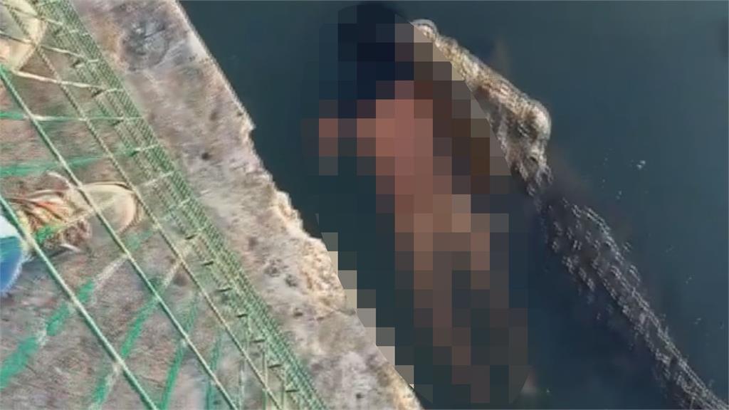 驚悚片！墨西哥男泳客慘遭鱷吻身亡　屍身被拖行遊公園示眾畫面曝光