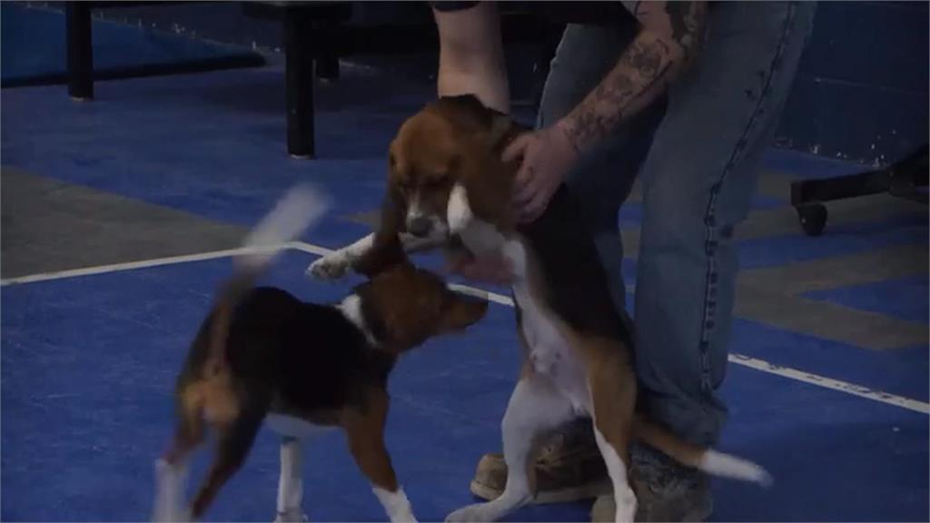 美國愛荷華推獄中訓犬計畫　受刑人找回人生意義