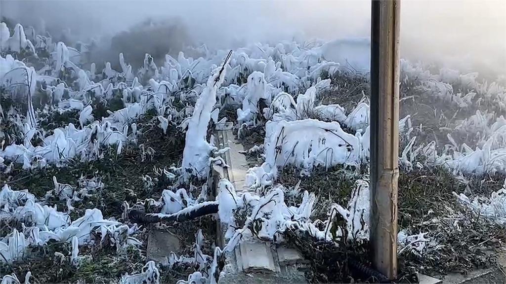 氣溫回升竹科路面結霜開冰花? 疑管線出包釀大量「液態氮外洩」