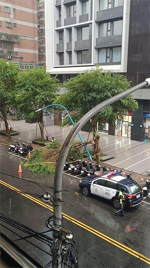 快新聞／狂風暴雨！新北土城、大安路樹傾倒　永和國光路淹水警方急封路