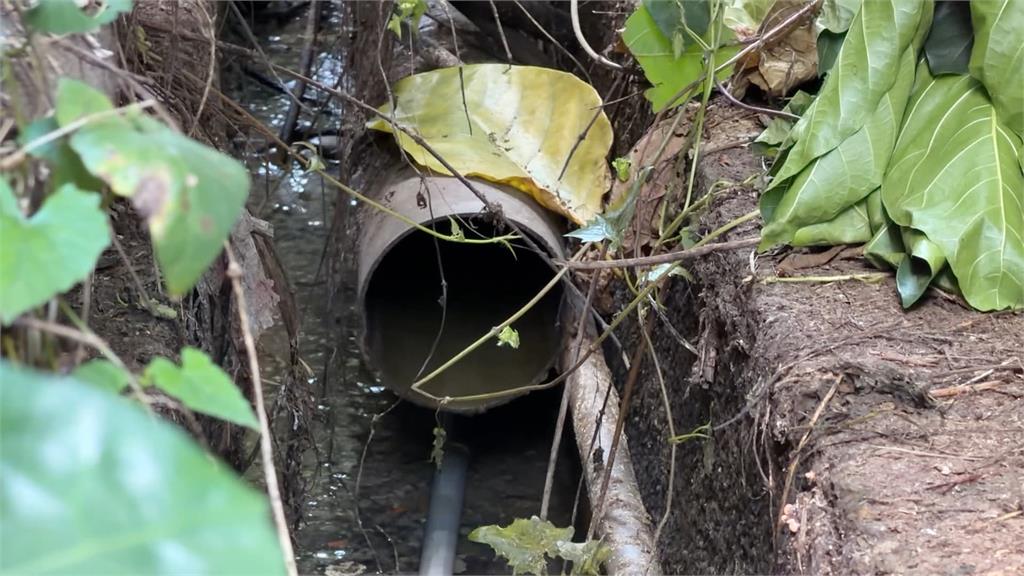 泰山屠宰場偷排廢水"未停工"? 環保局:抗命就法辦