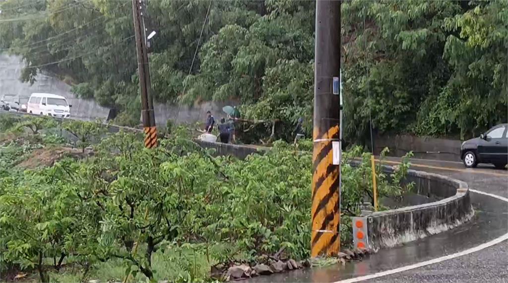 颱風天台東縣長在義大利被罵翻 饒慶鈴今早抵達高雄