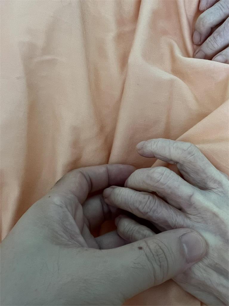 73歲吳淑珍昏倒2次「一度無呼吸心跳」命危！陳致中突PO照抖真實病況