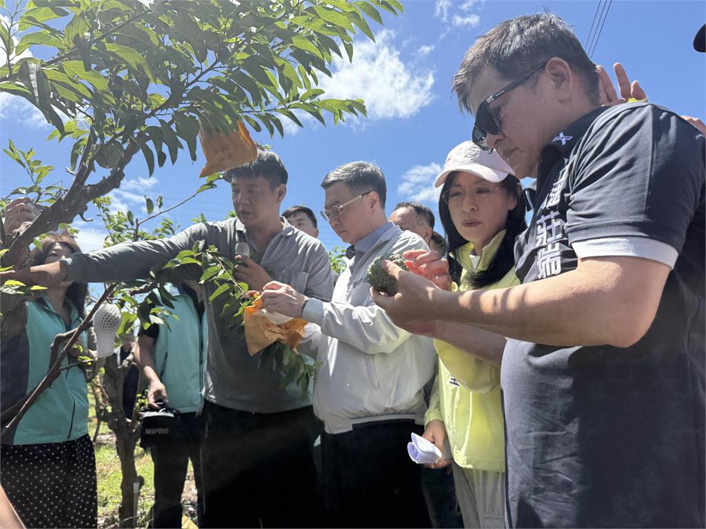 快新聞／楊柳毀農民心血！卓揆指示3原則救助　暖喊：與人民站一起