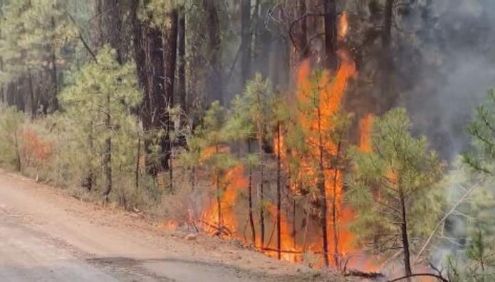 美西野火煙霧罩美東　俄勒岡「靴筒山大火」燒毀面積大於洛杉磯