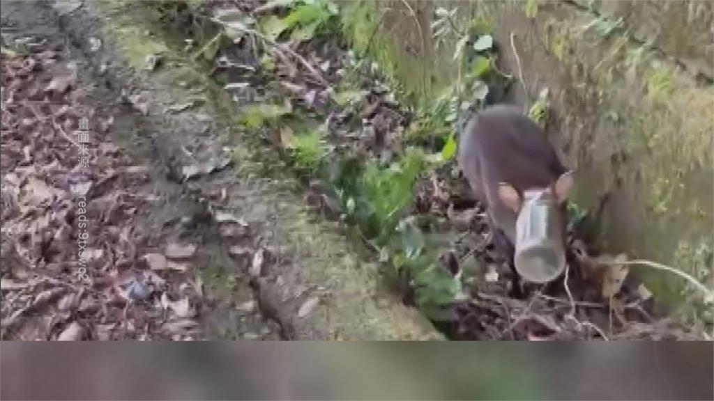 苗栗縣道126線山羌悲歌! 「嘴套寶特瓶」活活卡死