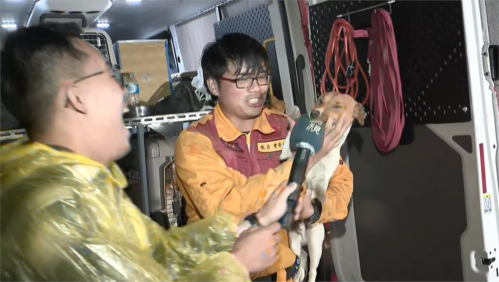 快新聞／花蓮搜救犬Wilson爆遭虐死！議長張峻追真相：要求消防局提專案報告