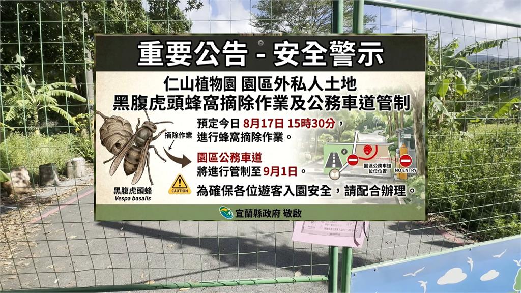 宜蘭仁山植物園 現「黑腹虎頭蜂窩」 園方緊急摘除 封園至9月1日