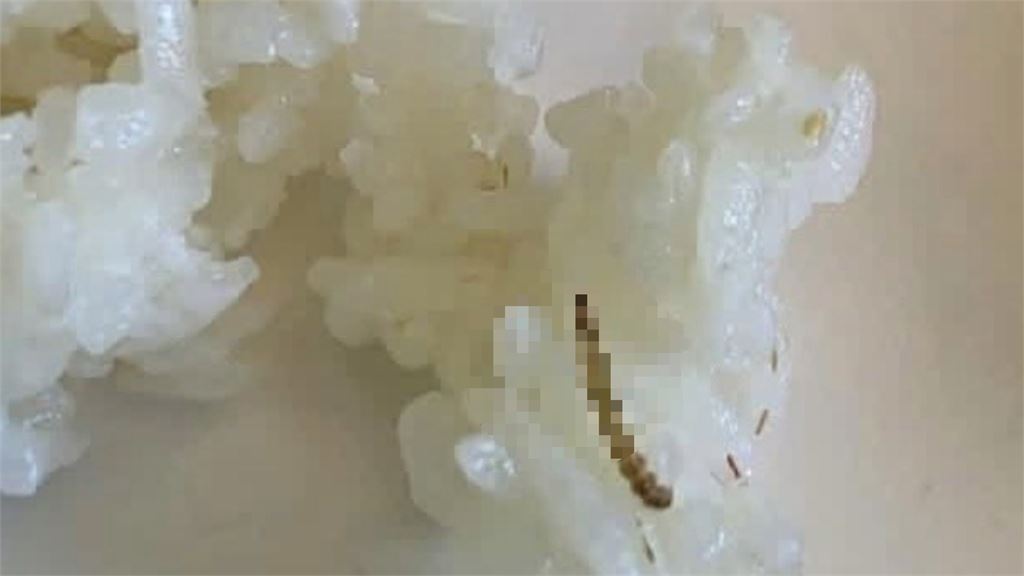 噁！高中團膳午餐遭控「有蟑螂」　衛生局全面稽查