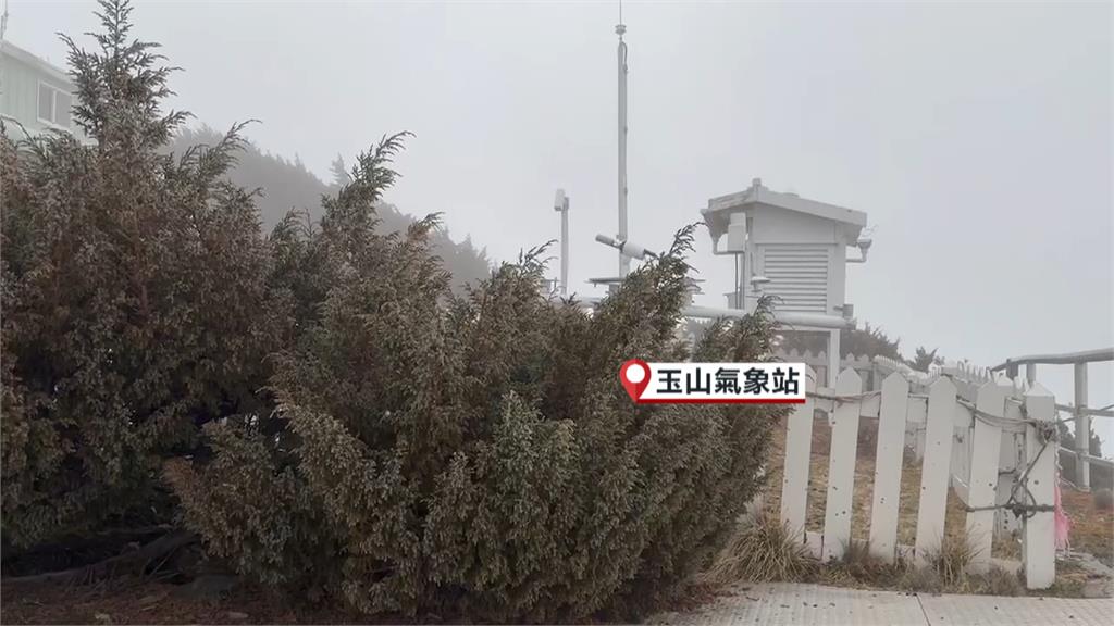 全台冷颼颼! 合歡山入冬後首次「降雪」民眾好驚喜