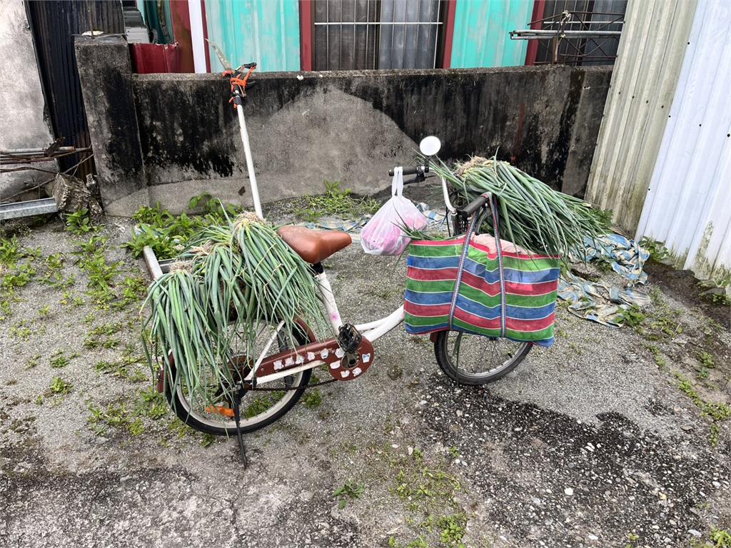 以為在玩皮克敏？ //花蓮男沿路偷盆栽亂丟