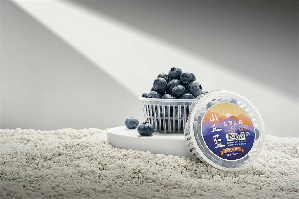 昨天還在樹上的藍莓！2026山丘藍產季開始！來自阿里山的現摘藍莓 每日產地直送