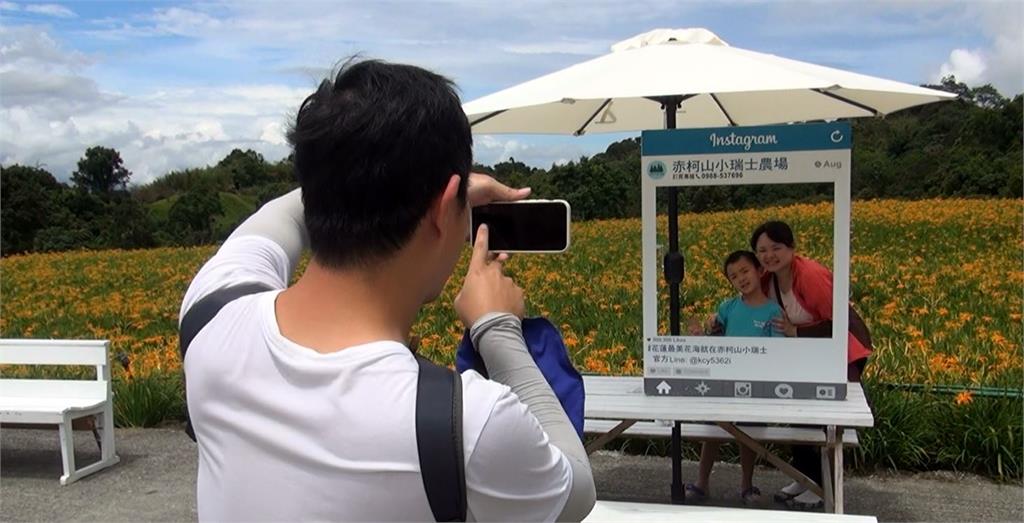 花蓮金針花季怎麼兩樣情？　赤科山金黃花海、六十石山卻花況稀疏