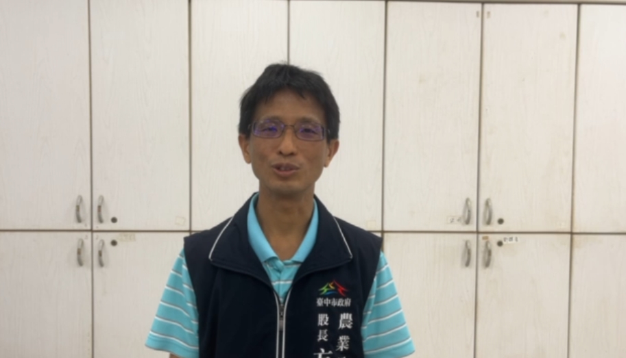 快來人抓豬!山豬咬壞農作物 將展開圍捕行動