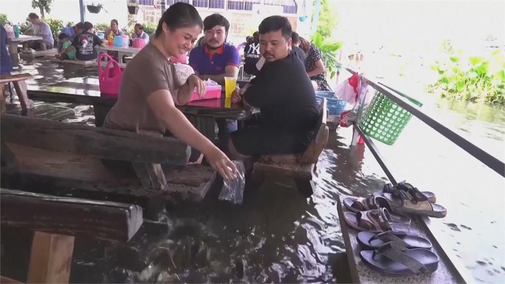 河水灌進泰國餐廳反成新景點 食客邊泡腳邊跟魚群互動