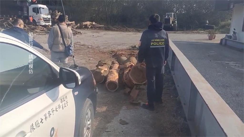 7名修路樹工人「盜砍」相思樹變賣　每人分1100元...　最重面臨7年重刑