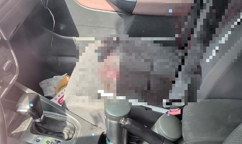 快新聞/豐原情殺案驚爆反轉?疑兇嫌子女曝死者詐團成員 嗆「你敢砍我嗎」