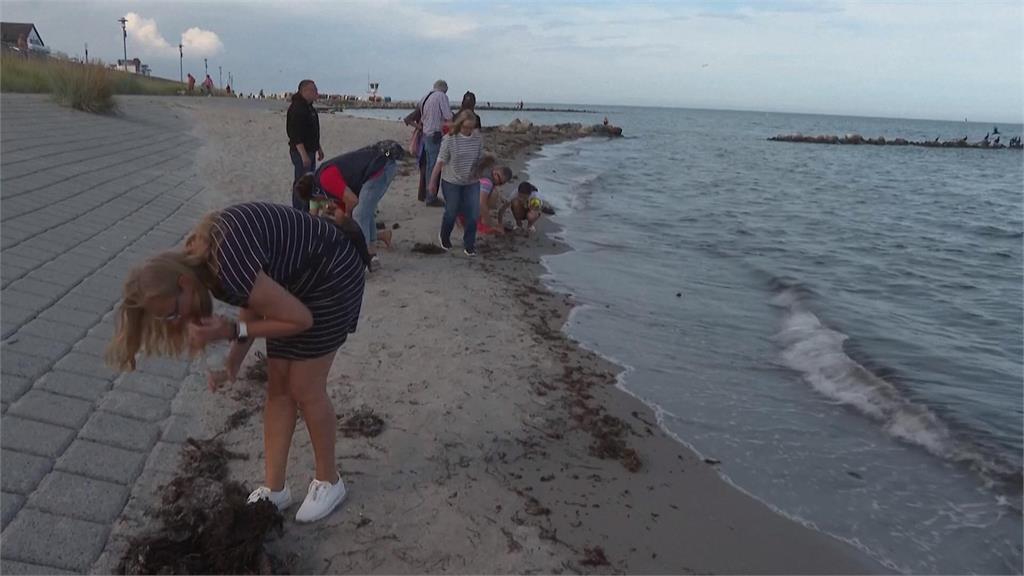 海洋的黃金！　德國掀「海邊尋找琥珀」風潮