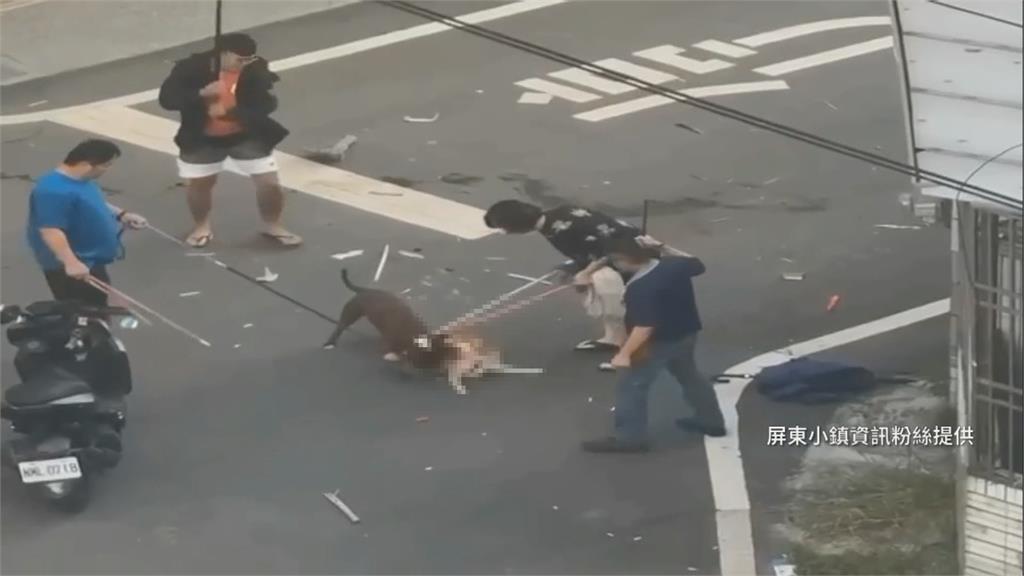 柴犬散步慘遭比特犬撕咬10分鐘!路人亂棍救援「2狗雙亡」80秒影片曝