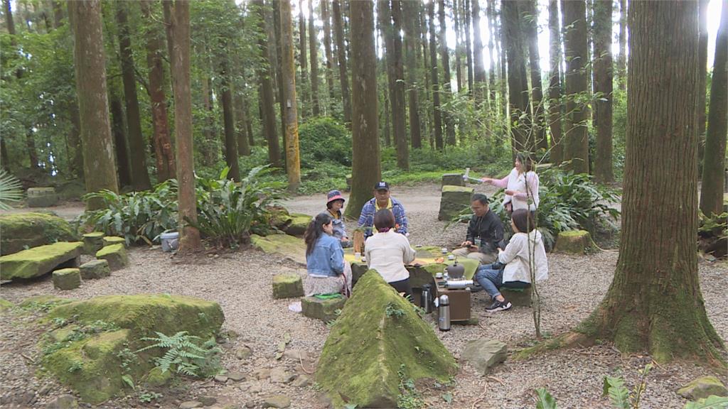 來一場阿里山茶旅行! 嘉義縣推「茶香步道」