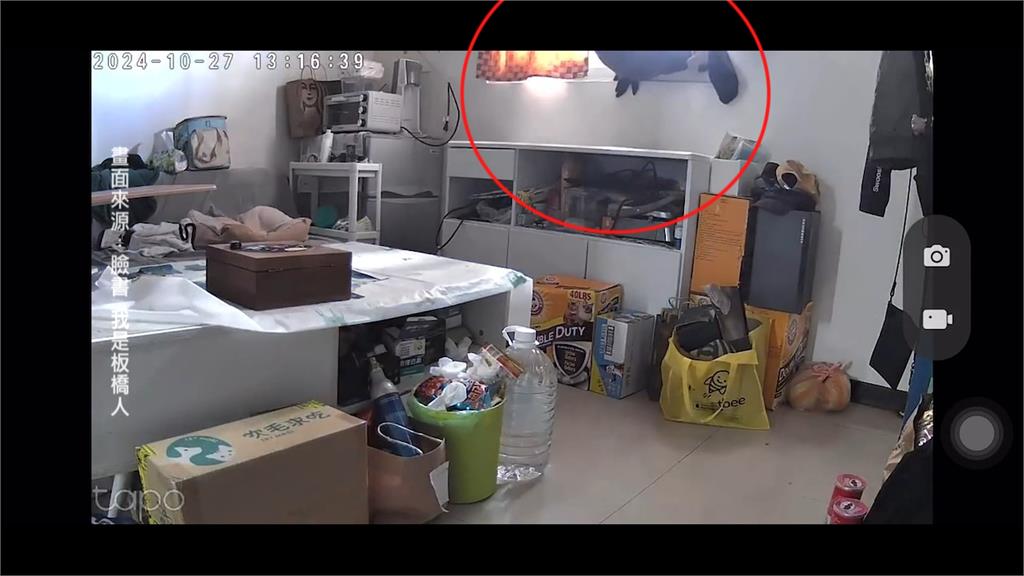 新北板橋傳竊案!竊賊使出軟骨功「鑽21cm縫隙」入屋行竊