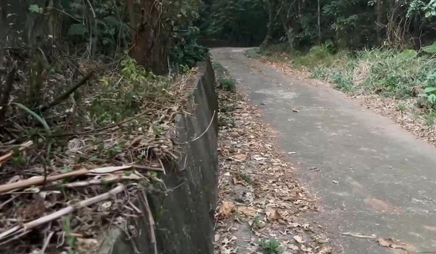 冷血凌遲! 彰化百果山男屍"挖眼割臉" 兩主嫌收押