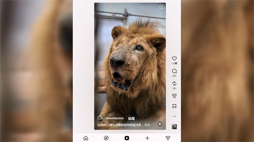 壽山動物園「二哥」被懷疑受虐! 台灣網友助澄清:已經是老爺爺