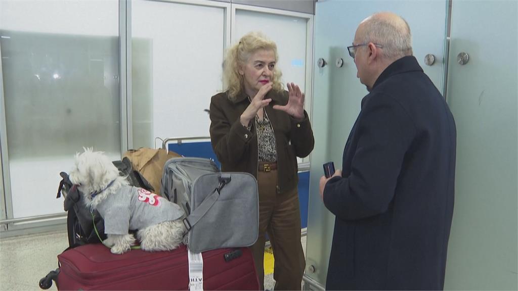 助毛小孩逃離中東！　希臘開暖心航班「提供寵物機位」